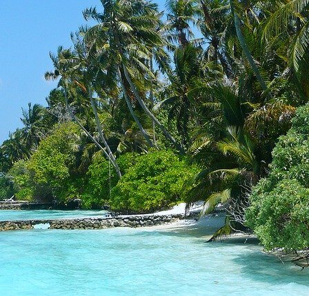 Locations to Visit in The Maldives